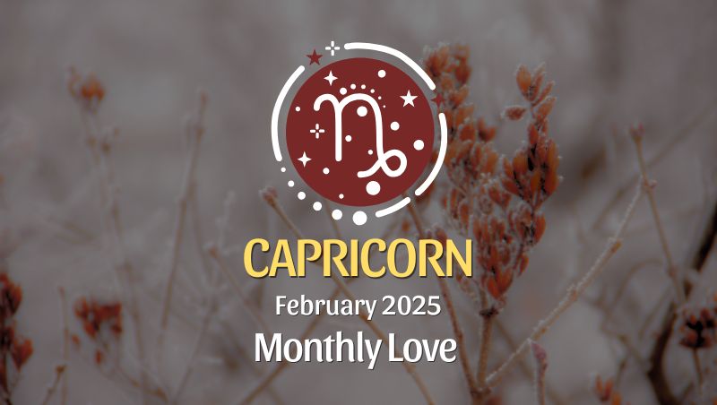 Capricorn: February 2025 Monthly Love Horoscope