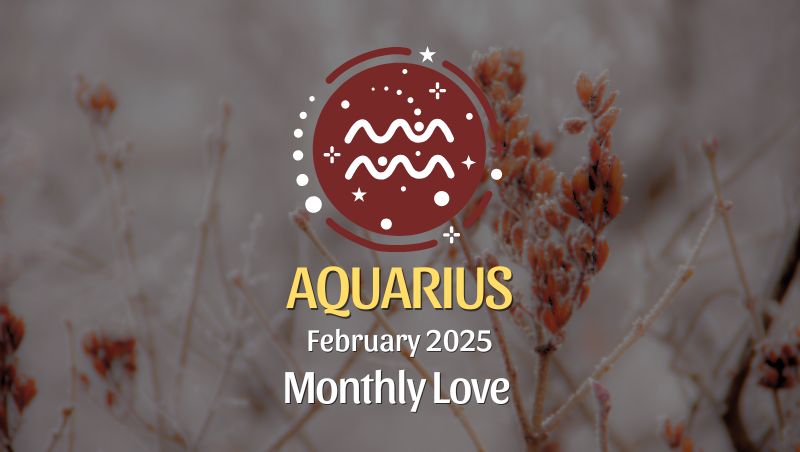 Aquarius: February 2025 Monthly Love Horoscope