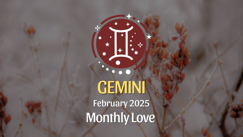 Gemini: February 2025 Monthly Love Horoscope