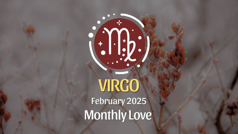 Virgo: February 2025 Monthly Love Horoscope